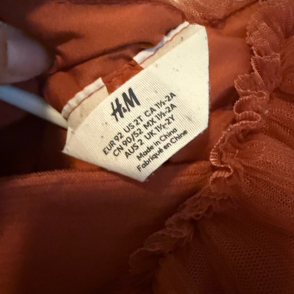 Rust Tulle Ruffle Dress - Picture 3 of 4